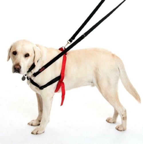 Halti Dog Training Lead Pet Collars & Harnesses Halti 