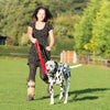 Halti Dog Training Lead Pet Collars & Harnesses Halti 