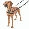 Halti Front Control Harness Pet Collars & Harnesses Company of Animals 