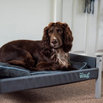 Henry Wag Brecon Adventure Bed (NEW) Dog Beds Henry Wag 