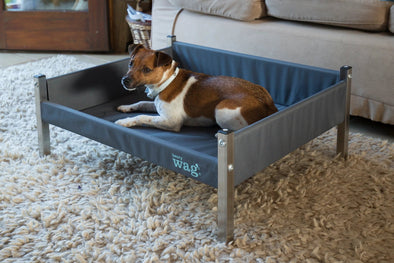 Henry Wag Elevated Dog Bed Dog Beds Henry Wag 