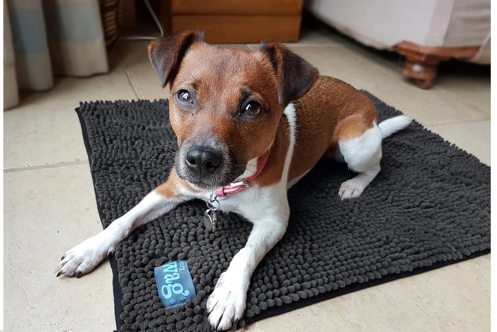 https://travfurler.com/cdn/shop/products/henry-wag-microfibre-noodle-pet-mat-bath-mats-rugs-henry-wag-270001_1024x1024.webp?v=1656518085