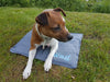 Henry Wag Pet Cool Mat Dog Beds Henry Wag 
