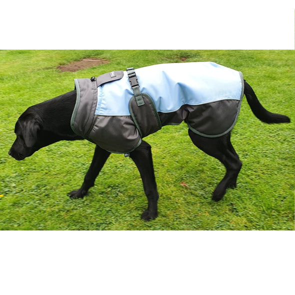 Henry Wag Waterproof Dog Coat Dog Apparel Henry Wag Large 