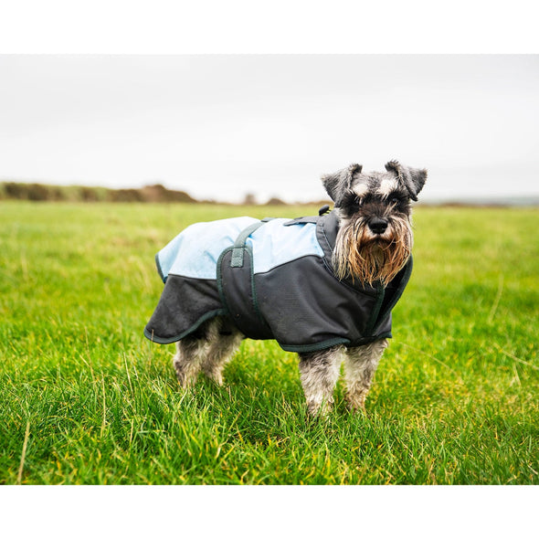 Henry Wag Waterproof Dog Coat Dog Apparel Henry Wag X-Small 