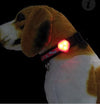 High Visibility Flashing Dog Light - Pet Tag - Ancol Ancol 