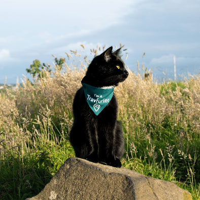 High-visibility & Reflective Cat Bandana Collar - Travfurler bandana Storms Style XS - On The Collar (Half Neck) Reflective 