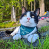 High-visibility & Reflective Cat Bandana Collar - Travfurler bandana Storms Style 