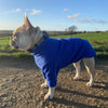 HOTTERdog Dog Fleece Jumper Dog Apparel HOTTERdog XS Royal Blue 