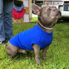 Hotterdog Dog T-shirt Body Dog Apparel HOTTERdog 