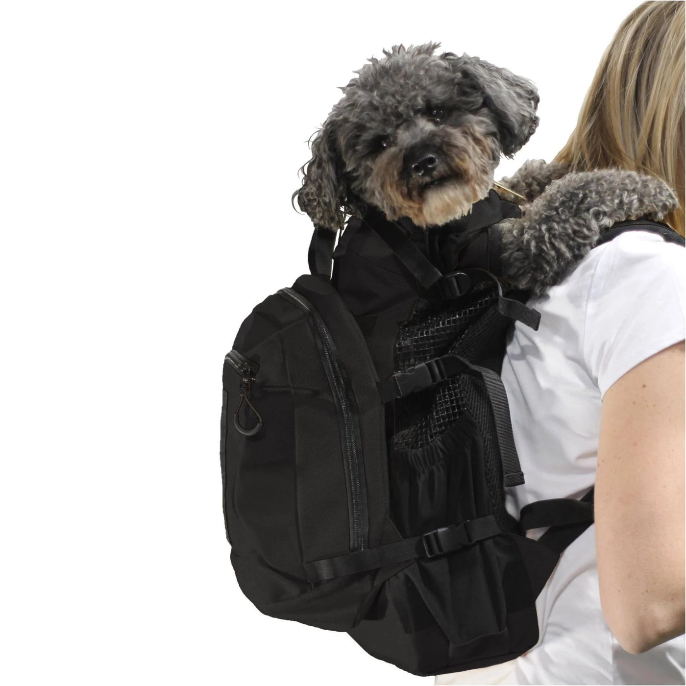 toy) Mini Schnauzer in Louis V Carrier  Dog carrier bag, Designer dog bag,  Dog stroller