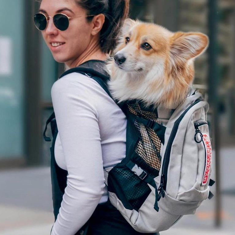 toy) Mini Schnauzer in Louis V Carrier  Dog carrier bag, Designer dog bag, Dog  stroller