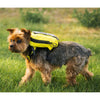 K9 Sport Sack Walk-On With Harness & Storage Pet Carriers & Crates K9 Sport Sack 
