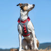 Kurgo Journey Air Dog Harness Pet Collars & Harnesses Kurgo 