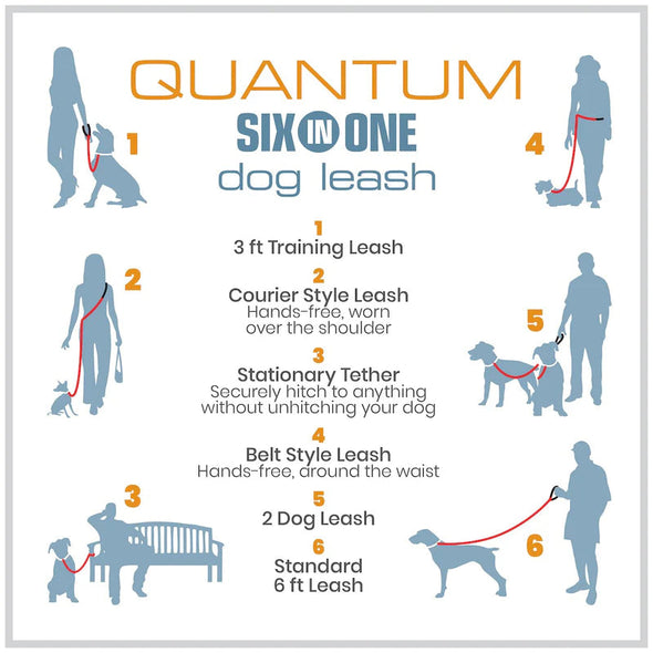Kurgo Quantum 6-in-1 Dog Lead Pet Leashes Kurgo 