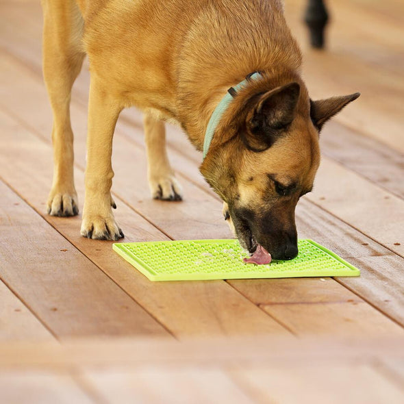 LickiMat Soother for Dog Calming LickiMat Innovative Pet Products 