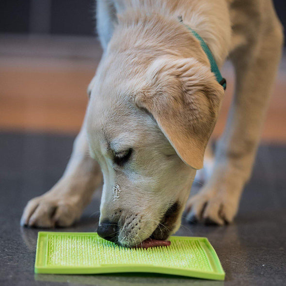 LickiMat Soother for Dog Calming LickiMat Innovative Pet Products 