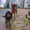 Long Paws Neon Reflective Dog Lead Pet Leashes Long Paws 