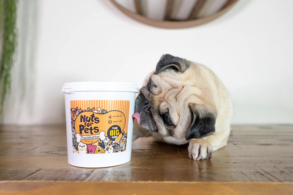 Nuts For Pets Poochbutter Dog Peanut Butter (The Original & BIG One) Dog Treats Nuts For Pets 