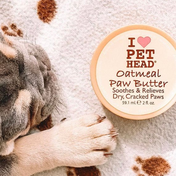 Paw Balm - Hydrating Oatmeal Paw Butter Paw Balm Pet Head 