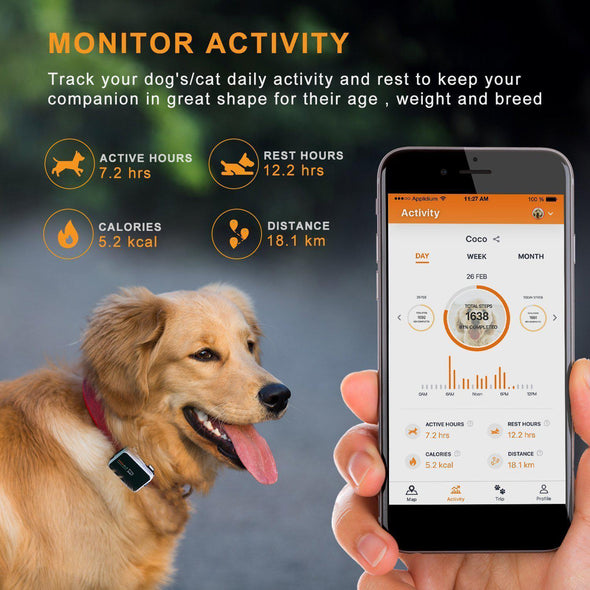 Pawfit 2 Pet GPS Tracker With Activity Monitor GPS Pawfit 