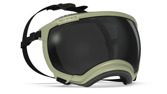 Rex Specs V2 Dog Goggles Ski & Snowboard Goggles RexSpecs X-Large OD Green 