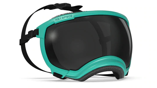 Rex Specs V2 Dog Goggles Ski & Snowboard Goggles RexSpecs X-Large Tazer Teal 