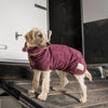 Ruff and Tumble Country Pet Drying Coat Drying Coat Ruff and Tumble 