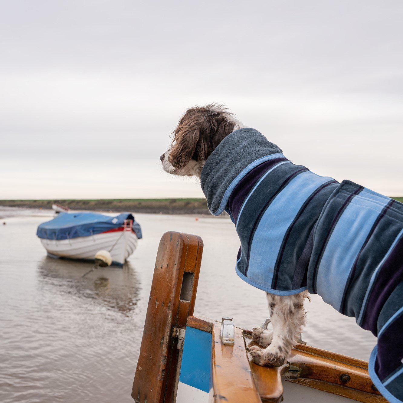Boating with Dogs – Travfurler