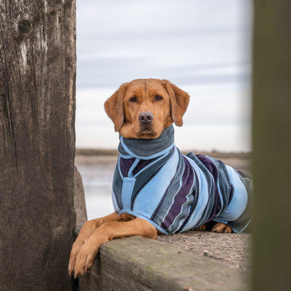 Ruff and Tumble Design Pet Drying Coat towel Ruff and Tumble XS None Harbour