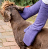 Ruff & Tumble Dog Drying Mitts - For Legs & Paws Drying Mitts Ruff and Tumble 