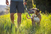 Ruffwear Chain Reaction Martingale Dog Collar Pet Collars & Harnesses Ruffwear 
