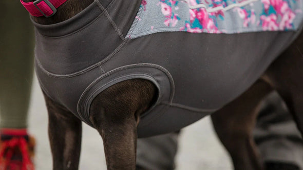 Ruffwear Climate Changer Dog Fleece Pullover Dog Apparel Ruffwear 