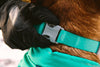 Ruffwear Confluence Waterproof Dog Collar Pet Collars & Harnesses Ruffwear 