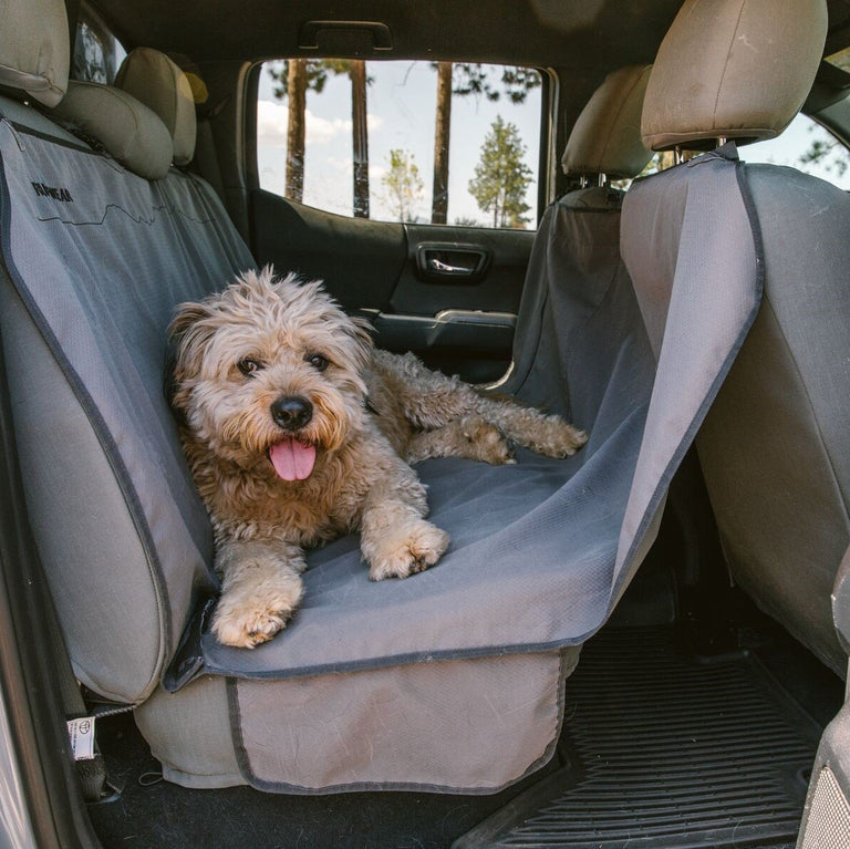 Ruffwear dog hotsell seat belt