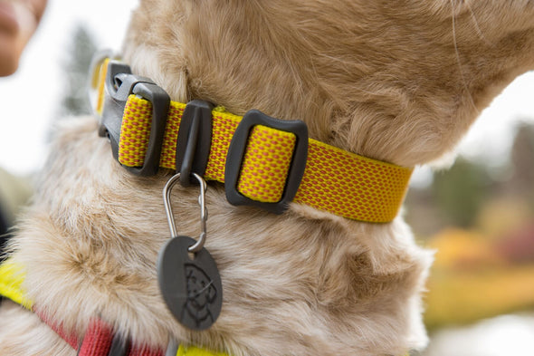 Ruffwear Hi & Light Lightweight Dog Collar (NEW) Pet Collars & Harnesses Ruffwear 