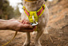 Ruffwear Hi & Light Lightweight Dog Harness (NEW) Pet Collars & Harnesses Ruffwear 