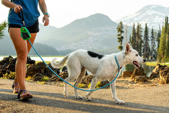 Ruffwear Just-a-Cinch Dog Lead Pet Leashes Ruffwear 