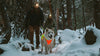 Ruffwear Lumenglow Hi-Vis Dog Jacket Dog Apparel Ruffwear 