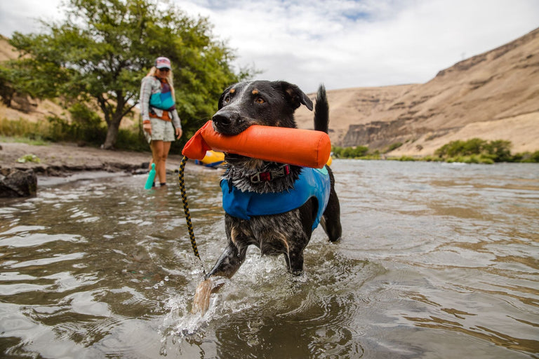 Ruffwear Lunker Floating Dog Toy Travfurler