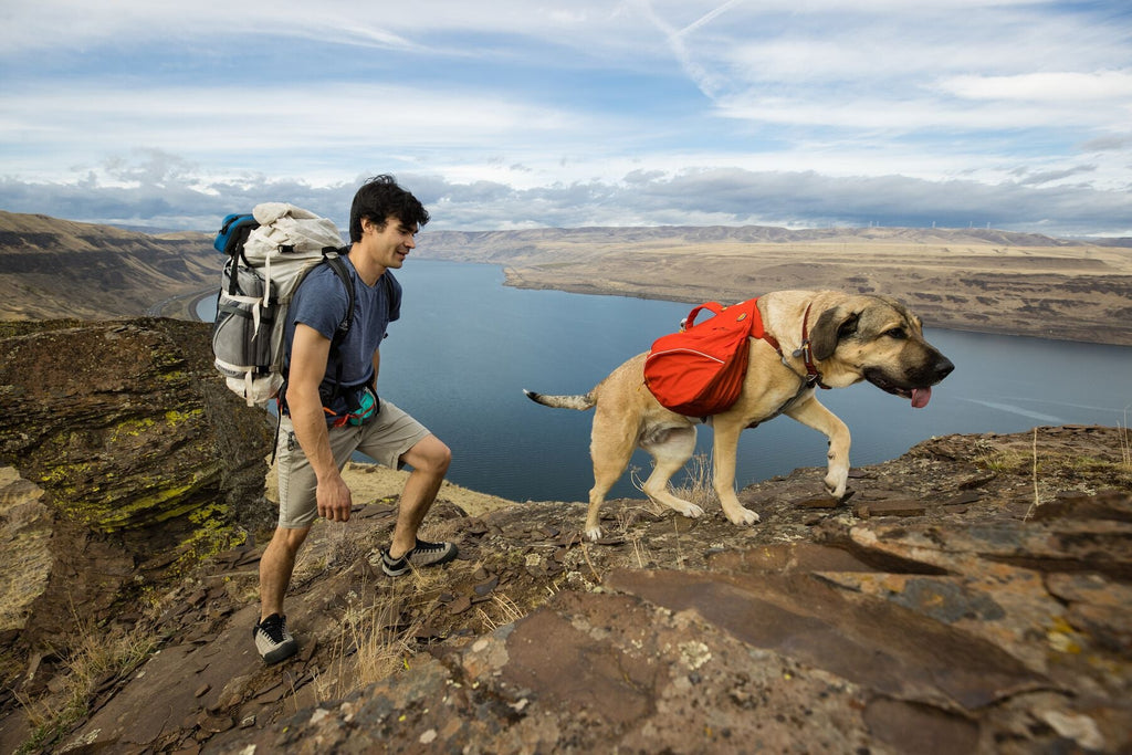 Ruffwear Palisades Dog Backpack Travfurler