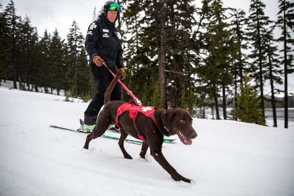 Ruffwear Patroller Avalanche Dog Leash Pet Leashes Ruffwear 