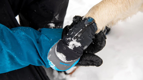 Ruffwear Polar Trex Winter Dog Boots Dog Apparel Ruffwear 
