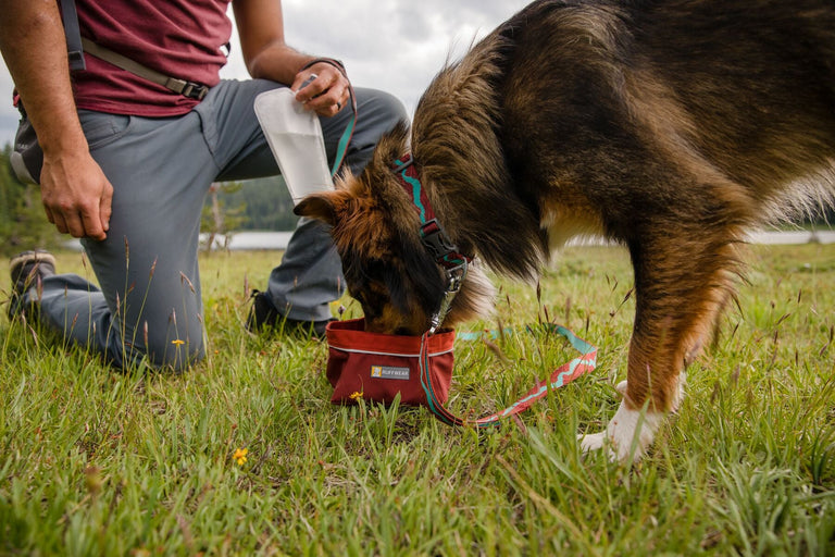 Ruffwear Quencher Packable Dog Bowl