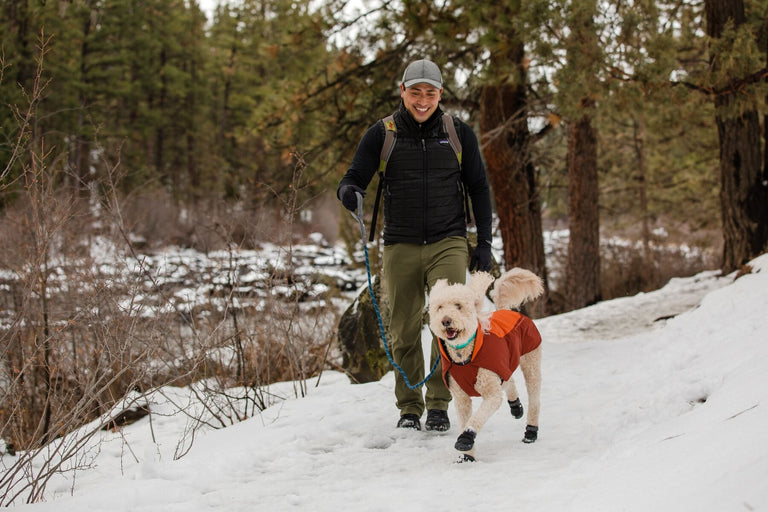 Ruffwear summit trex dog 2024 boots