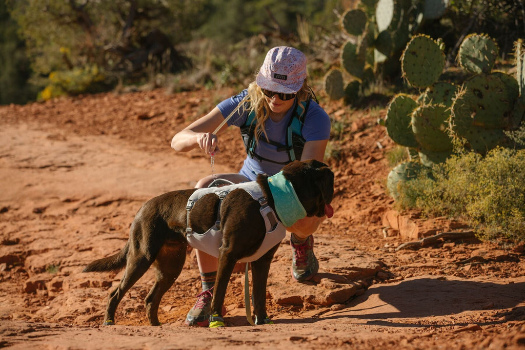 Ruffwear Swamp Cooler Cooling Dog Harness