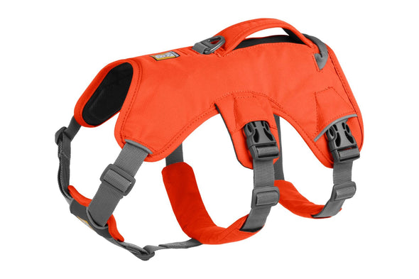 Ruffwear Web Master Harness Pet Collars & Harnesses Ruffwear XXSmall Blaze Orange (NEW) 