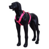 Rukka Form Dog Y-Harness Pet Collars & Harnesses Rukka 