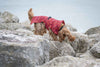 Rukka Hayton Warm Dog Raincoat Dog Apparel Rukka 