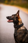 Rukka Mission Dog Collar With Handle Pet Collars & Harnesses Rukka 